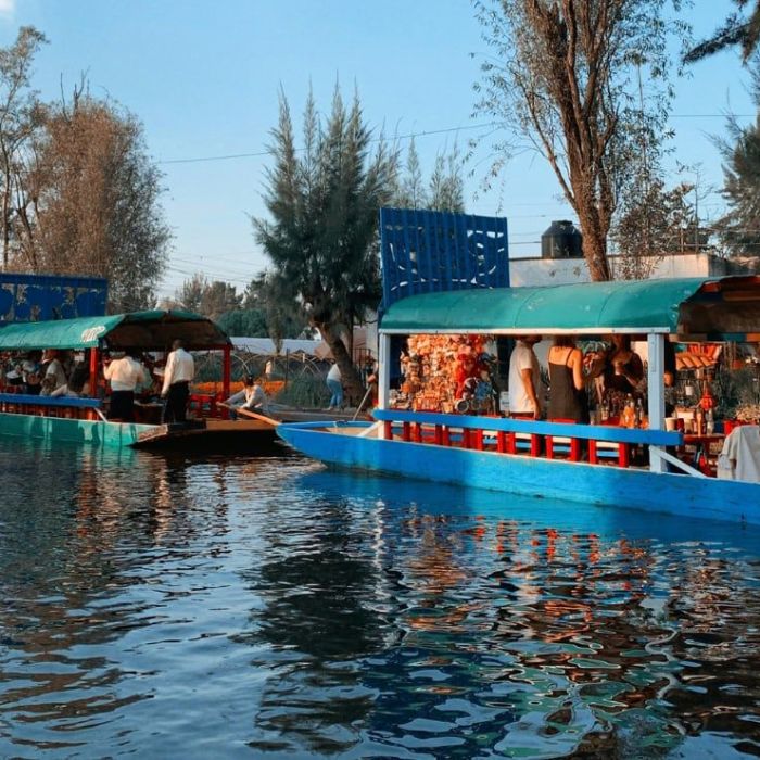 Cine al aire libre en Xochimilco por el Día del Niño: funciones en Cuemanco el 25 de abril