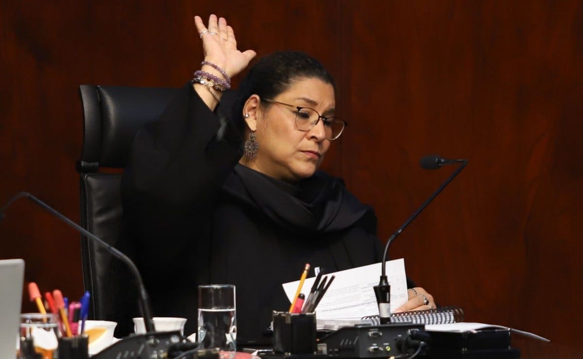 scjn-ordena-al-imss-entregar-lentes-audifonos-y-protesis-a-menores-lenia-batres-vota-en-contra