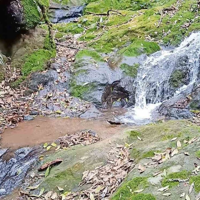 Continúa remediación tras derrame que contaminó manantiales en Magdalena Chichicaspa, Huixquilucan