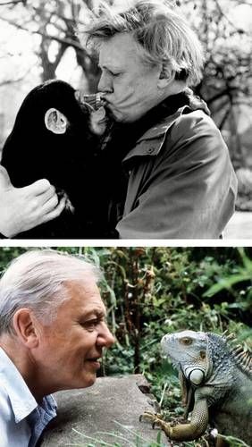 david-attenborough-cumple-100-anos-el-8-de-mayo-de-2026