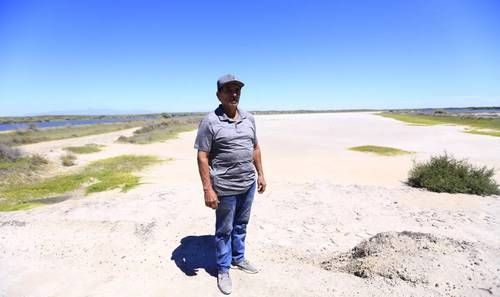 Granja de camarón en Eldorado, Sinaloa, detiene producción ante crisis del sector