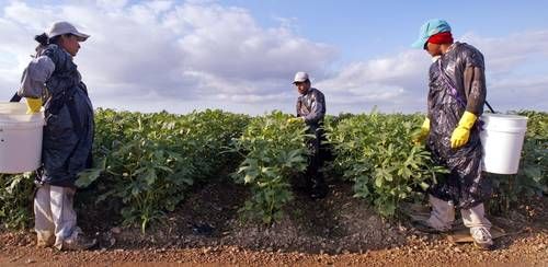 los-38-millones-de-residentes-de-origen-mexicano-en-eu-generaron-2-27-billones-de-dolares-en-2024