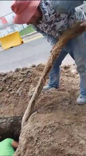 sapase-extrae-raiz-de-21-metros-que-obstruia-tuberia-en-valle-de-anahuac-ecatepec