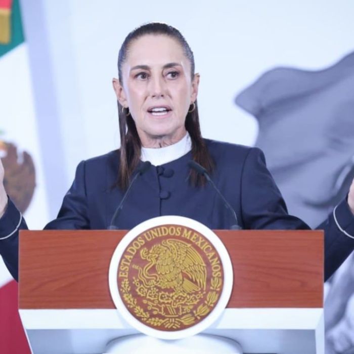 Sheinbaum asegura que Taddei “entendió mal” la propuesta para verificar candidaturas