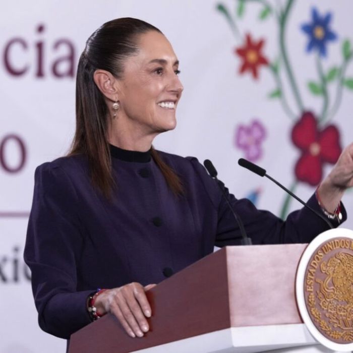 Sheinbaum asegura que su gobierno ha actuado contra todos los cárteles; afirma que 92 presuntos delincuentes fueron enviados a EU
