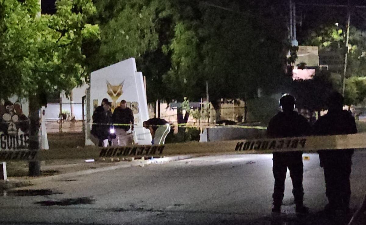 localizan-dos-cuerpos-en-culiacan-uno-decapitado-y-otro-con-un-cerdo-atado-al-cuello