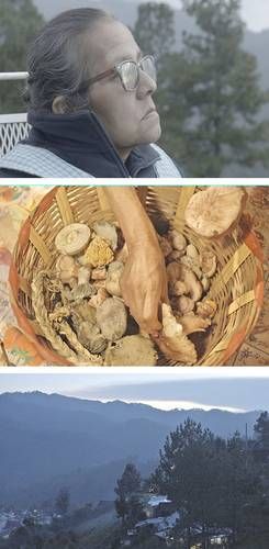 Braulia: el documental que retrata los saberes de curar en la Sierra Sur de Oaxaca