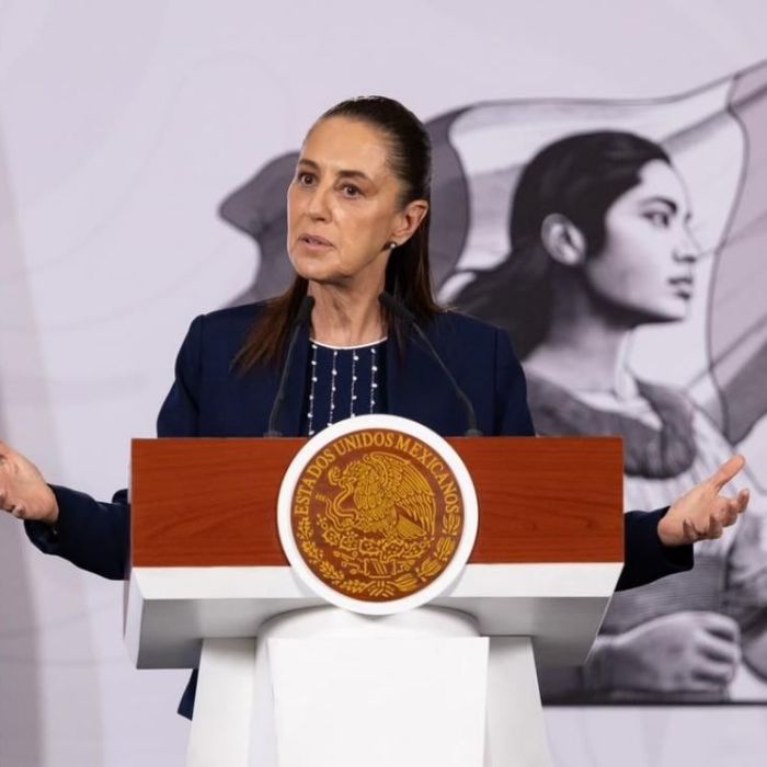 Gobierno confirma reanudación de importación de ganado a Estados Unidos; primeros cruces serán por puntos autorizados