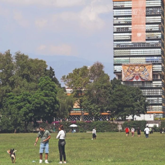 Ofrecen hasta 26 mil pesos por suplantar aspirantes en exámenes de ingreso a la UNAM y el IPN