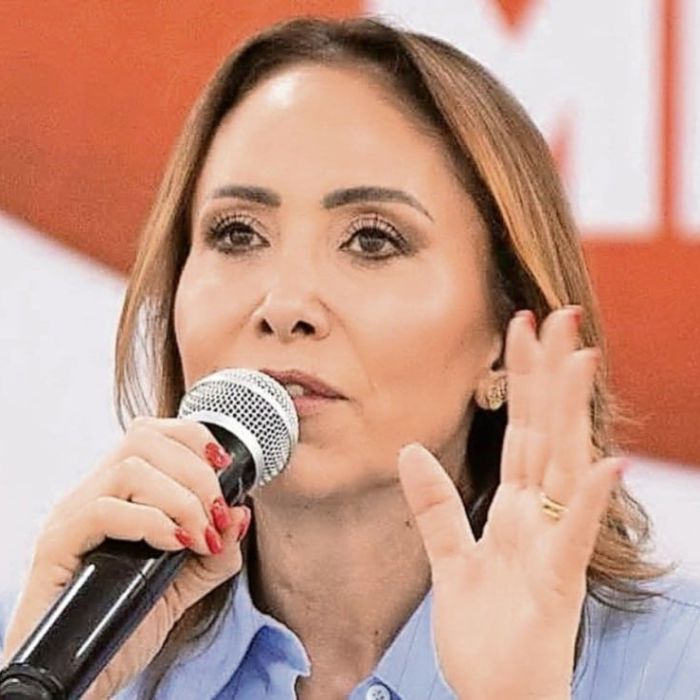 PRI del Estado de México activa la red “Defensores del Estado de México” y registra a más de 1,400 militantes
