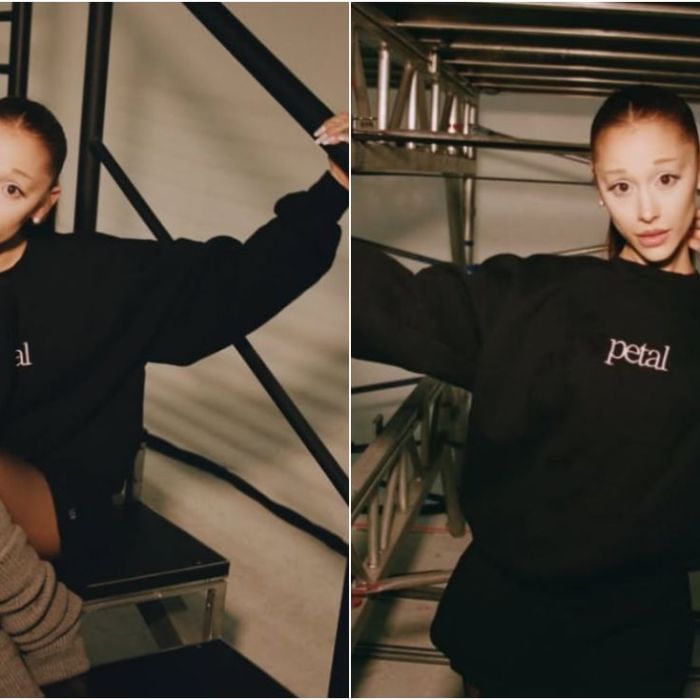 Ariana Grande se alejará temporalmente de la vida pública tras concluir su gira
