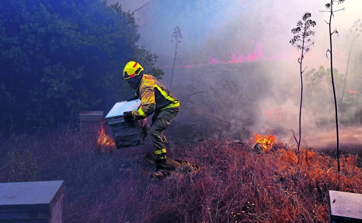 europa-enfrenta-una-temporada-critica-de-incendios-forestales-y-un-riesgo-creciente