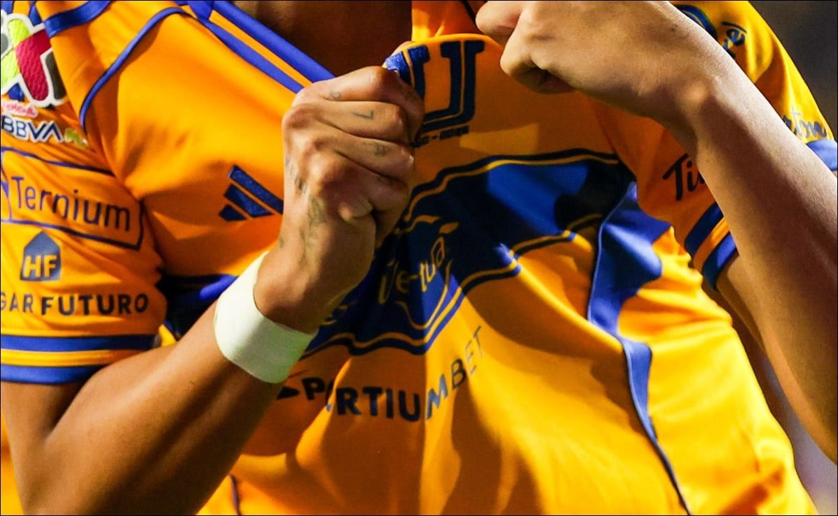 jorge-torres-nilo-afirma-que-quiere-dirigir-a-tigres-y-devolverlo-a-los-primeros-planos