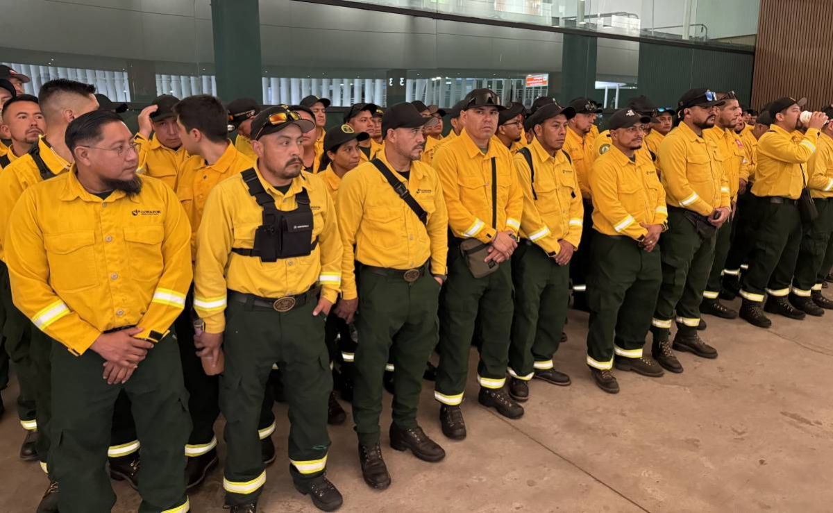 mexico-envia-103-brigadistas-a-canada-para-combatir-incendios-forestales