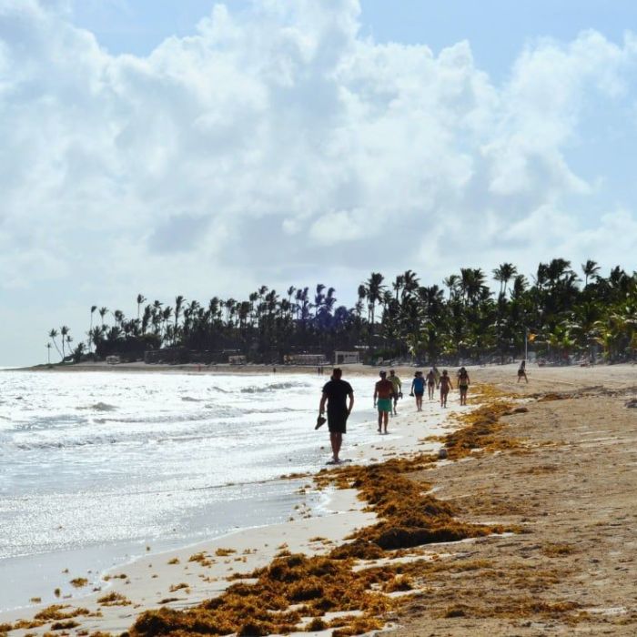 ¿En qué meses hay menos sargazo en Cancún?