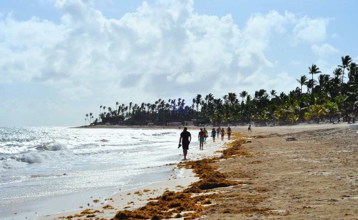 en-que-meses-hay-menos-sargazo-en-cancun