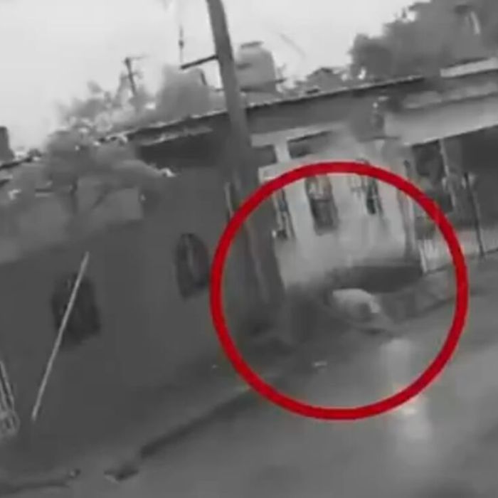 Muere perrito electrocutado por un cable en calles de Mérida