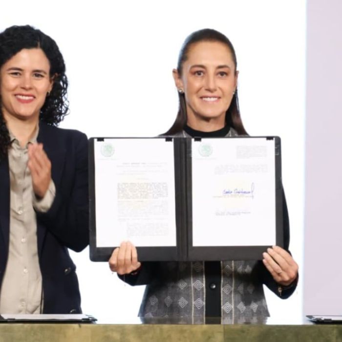 Reforma sobre doble nacionalidad se publica en el DOF y aplicará desde 2028