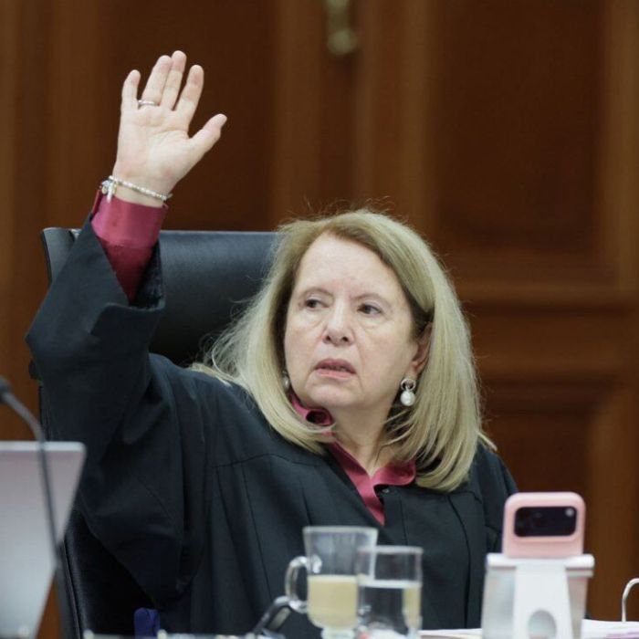 Suprema Corte valida comisión del INE para revisar integridad de candidaturas