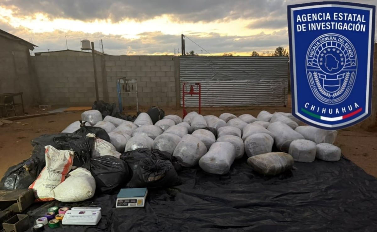 aseguran-983-kilogramos-de-presunta-marihuana-en-hidalgo-del-parral-chihuahua